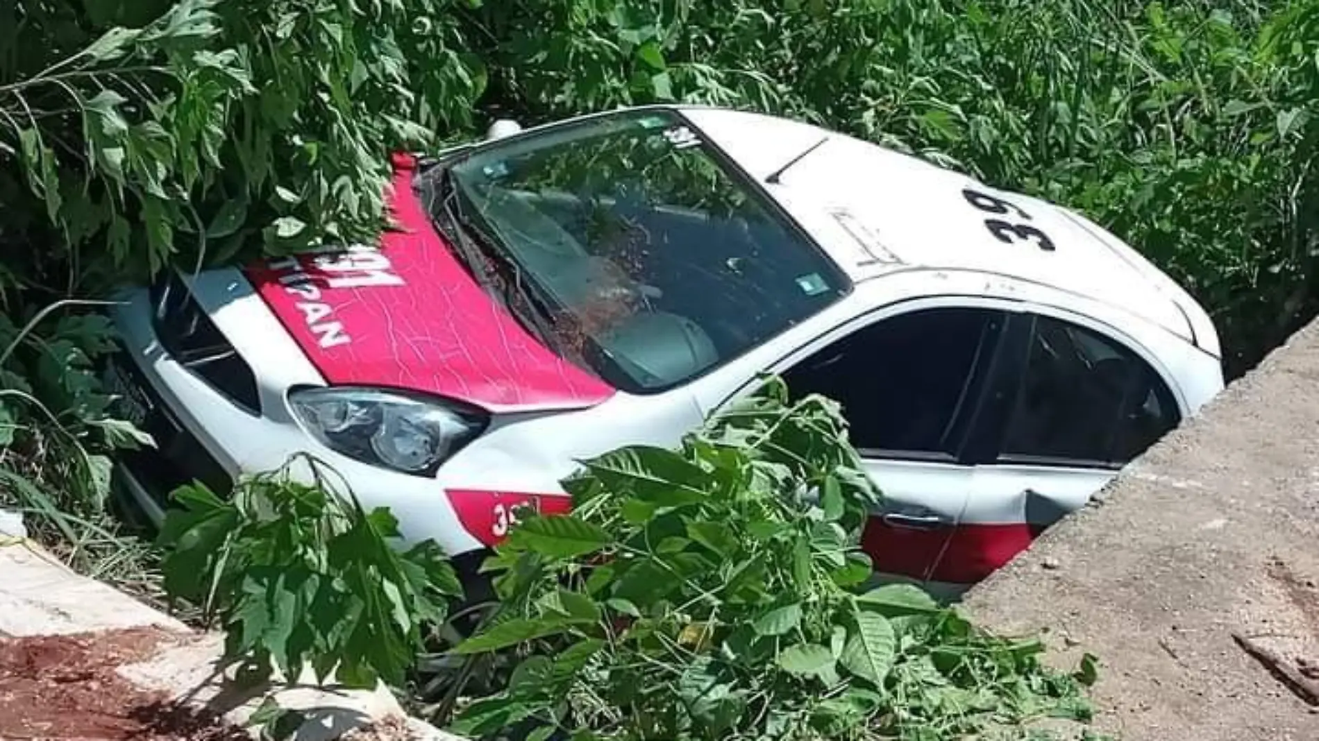 taxista lesionadas